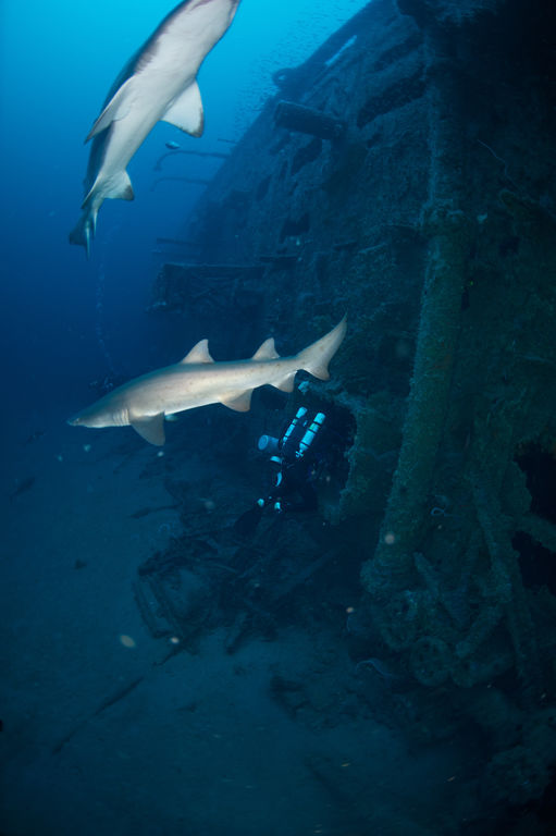 d3ec1b1e-fd49-4974-802e-13529c64970b