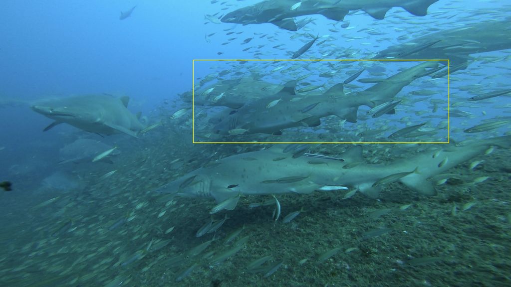 97606f1a-5843-4810-b107-687dfddc6f11