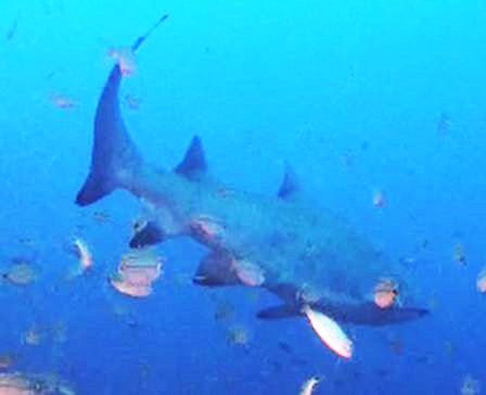 8e3def7a-dd80-4610-a25d-c430a6af7f68