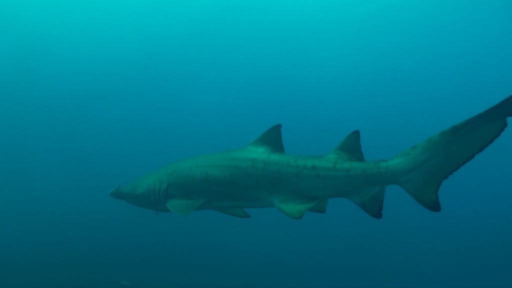 39239c61-2004-4e58-a4b8-b0f1e4040dd5