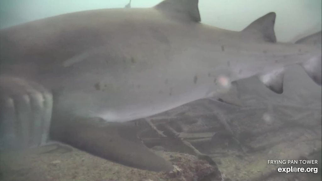 6a0ed272-9bf9-4553-b9d8-e41b0870b3ad