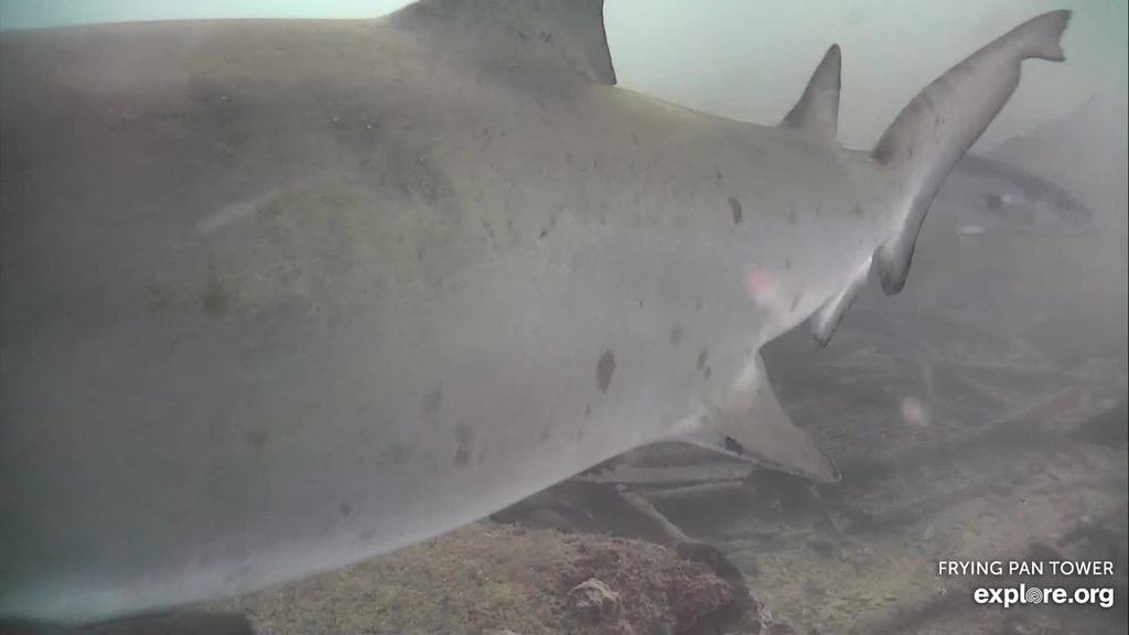 6a0ed272-9bf9-4553-b9d8-e41b0870b3ad