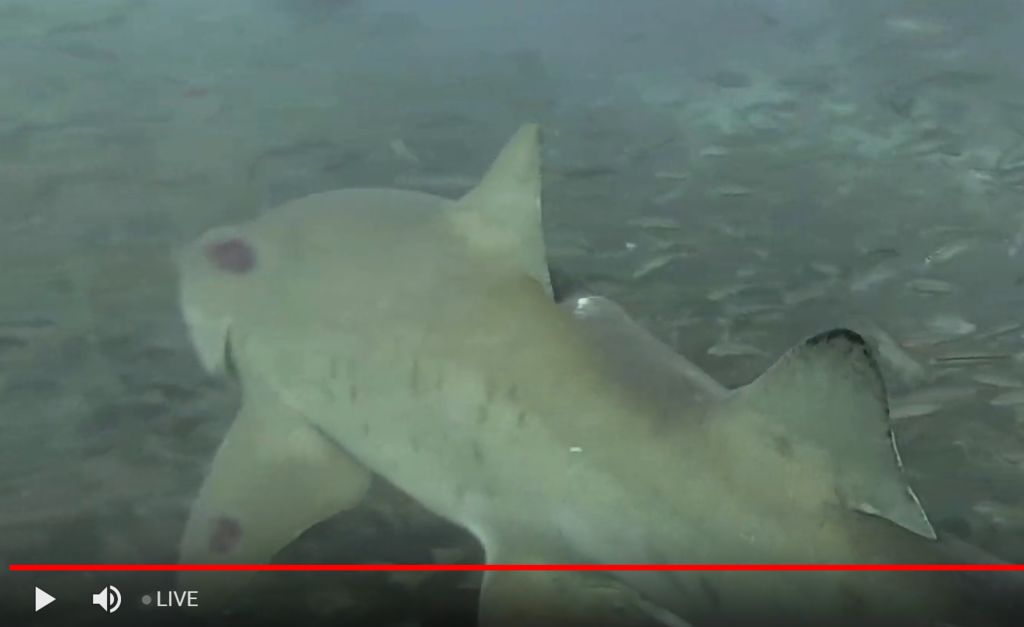 57dd5c69-909a-4cb7-ae27-b1fb7bf5abac