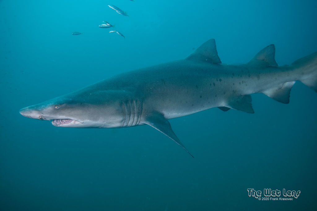 494aa8e8-fa57-4d5d-a08f-d3c11fc9c8d0