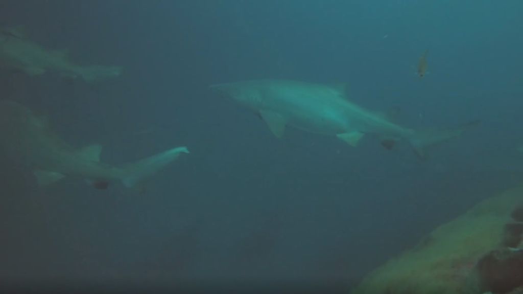 0da7a2a4-6d87-4ae3-848f-ea1ab4073de7