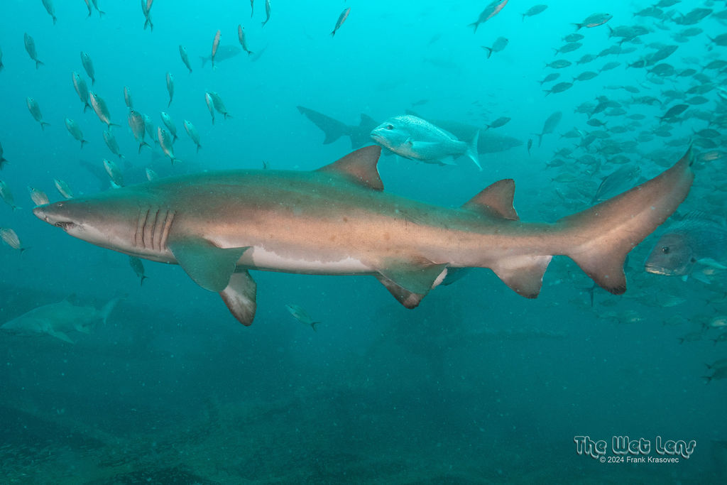 b976cf7b-6a6a-44e3-b640-e09a400b2afc