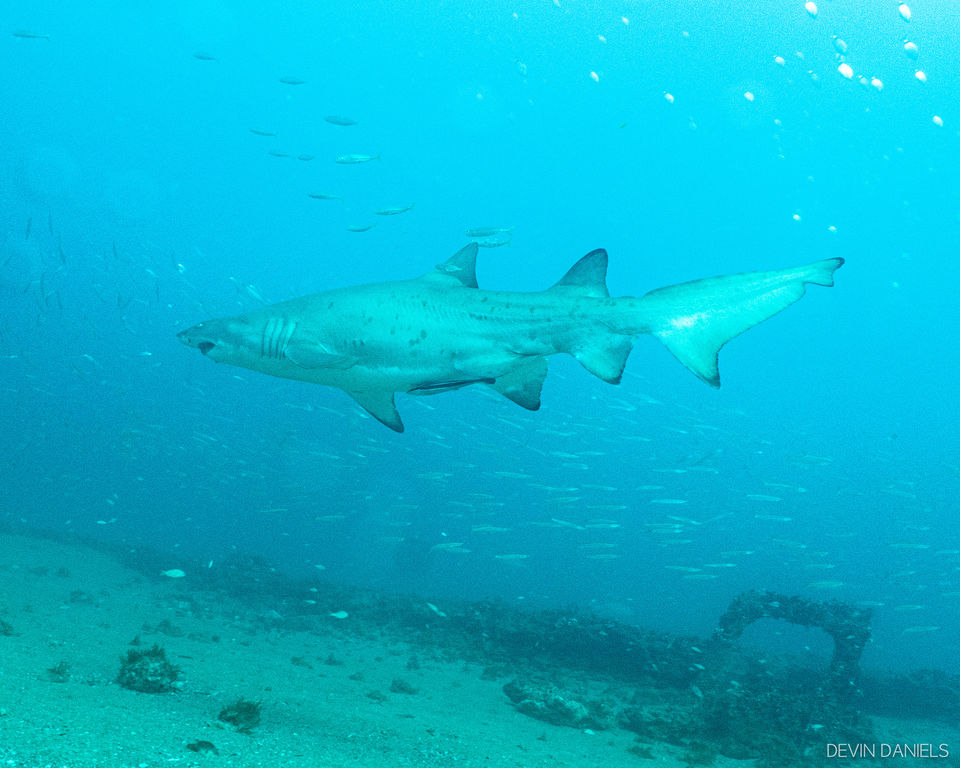 27ec1e75-e25e-405a-b250-ee95881a464b