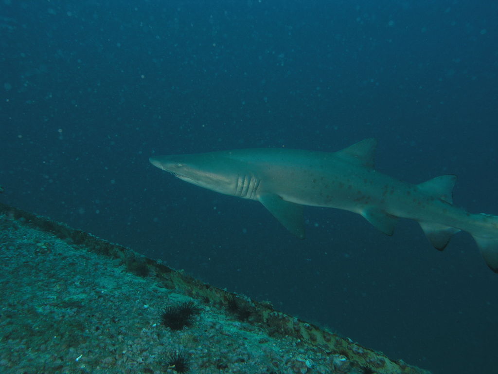 d6e634e5-8102-41b4-8976-3f8246168989