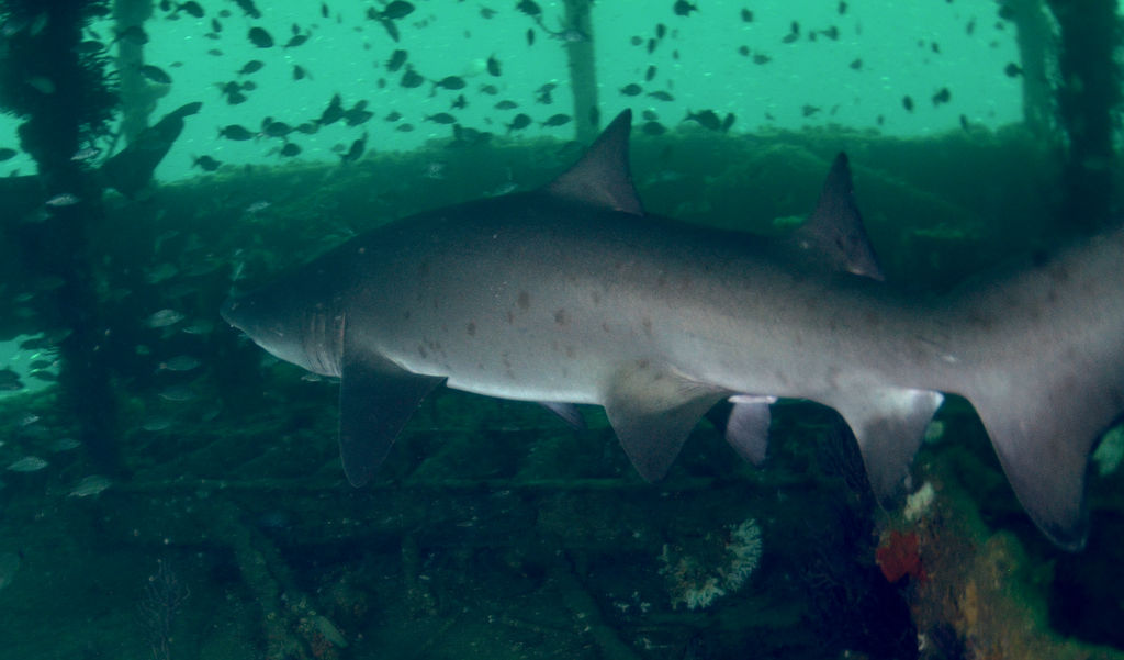 3fd940c7-1f81-4266-b4a4-6a28f7d49044