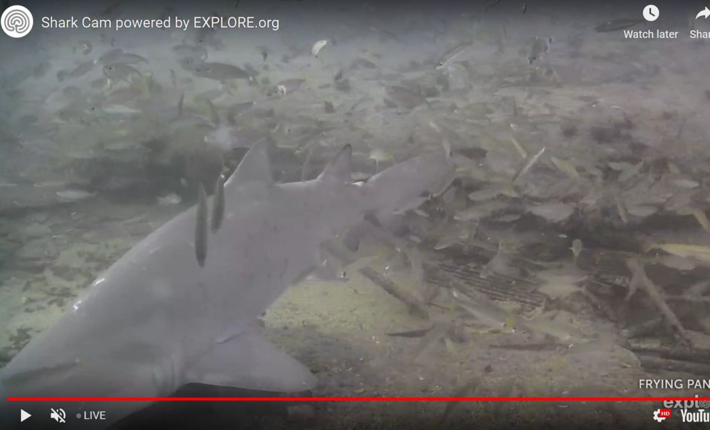 f6138fac-c736-45ba-b899-dd2cd25640c4