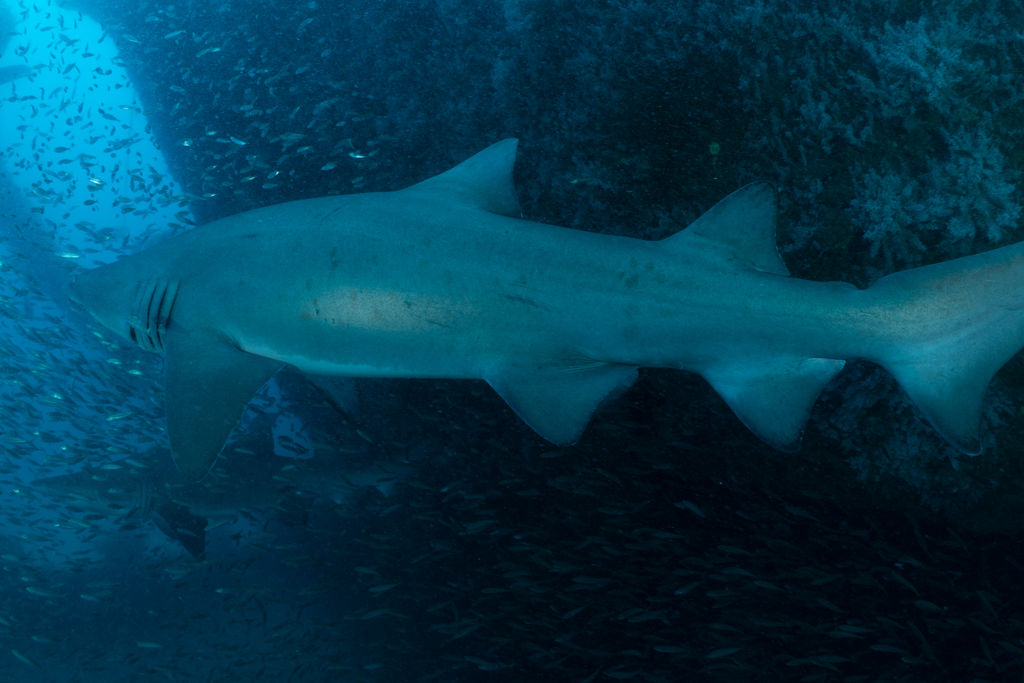 87008c46-fde4-43e2-bf25-0815ac843ee1