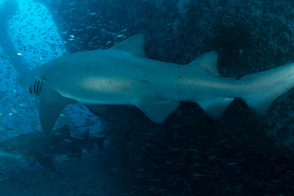 87008c46-fde4-43e2-bf25-0815ac843ee1