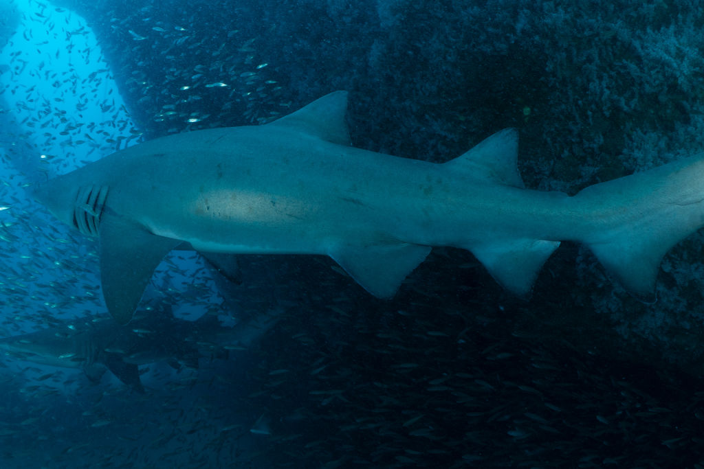 87008c46-fde4-43e2-bf25-0815ac843ee1