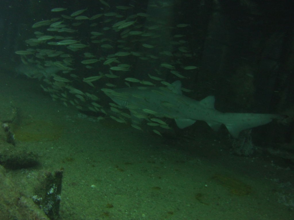 7ddf9240-5696-4910-8461-f46004329a4a