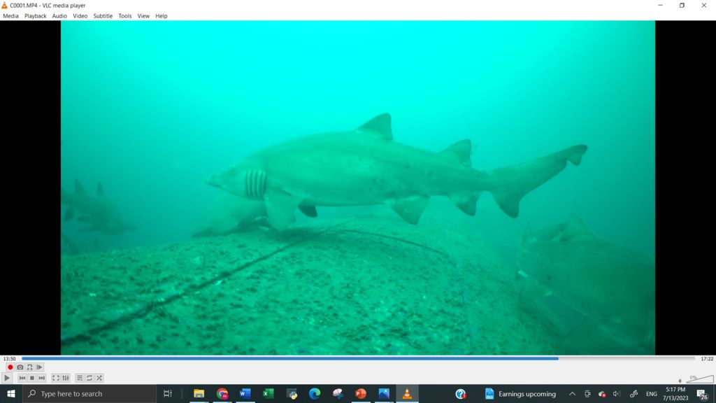 09da25e7-1a02-45e2-ab9a-c8991484bf9c