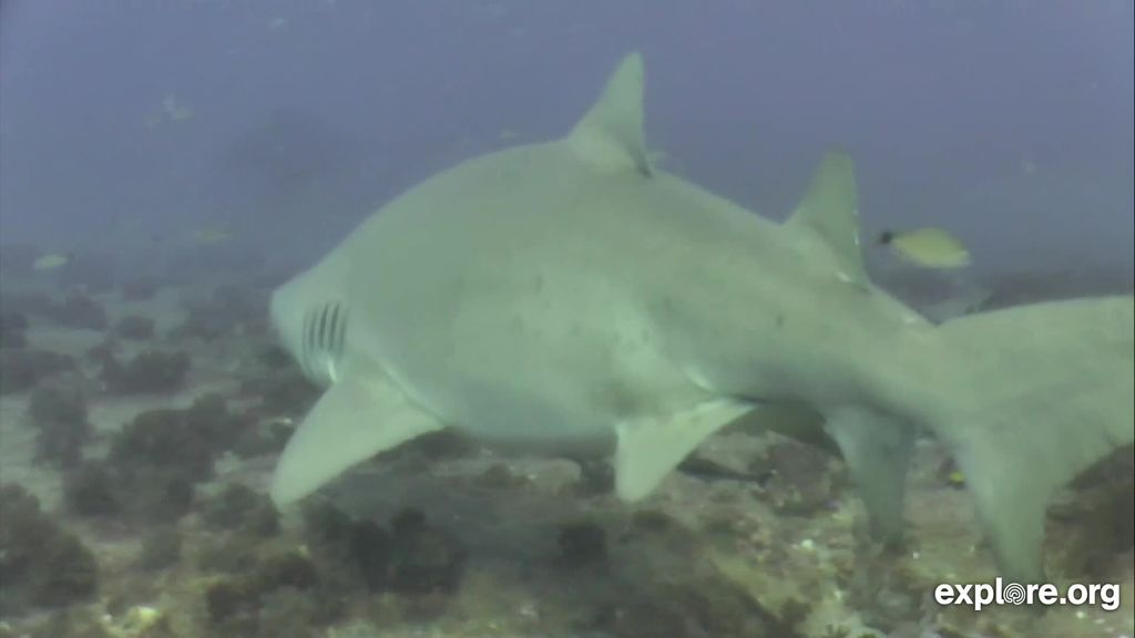 cf918e74-52b4-4818-a816-5ca723746338