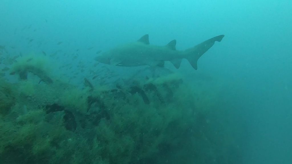 3eeb709b-aa0e-44be-b7b9-3c4f83de7544