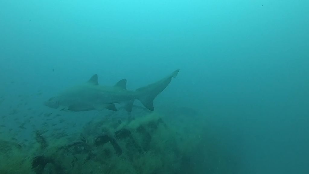 3eeb709b-aa0e-44be-b7b9-3c4f83de7544