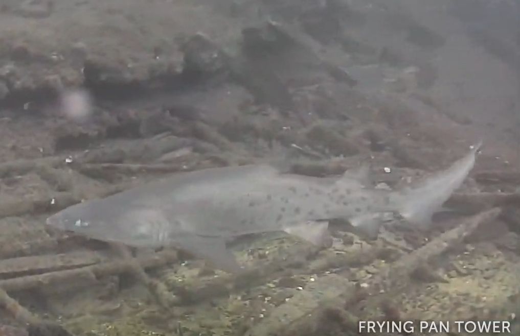 27fcee03-d574-4724-84dd-650d302912fa