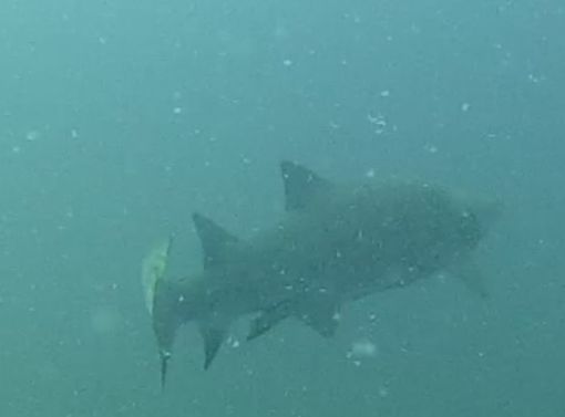 2ff850e1-c7ab-4128-b4ea-115e49c22d1c