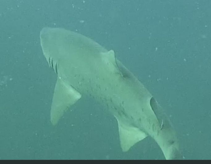 2ff850e1-c7ab-4128-b4ea-115e49c22d1c