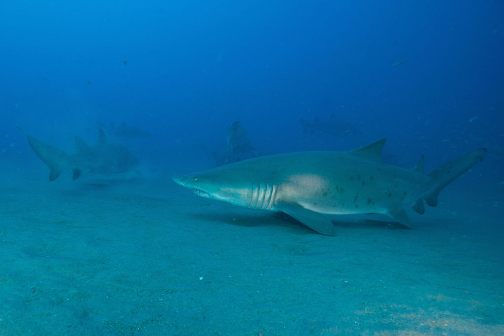 5472cb80-1e91-4a18-b219-3427e5307eea