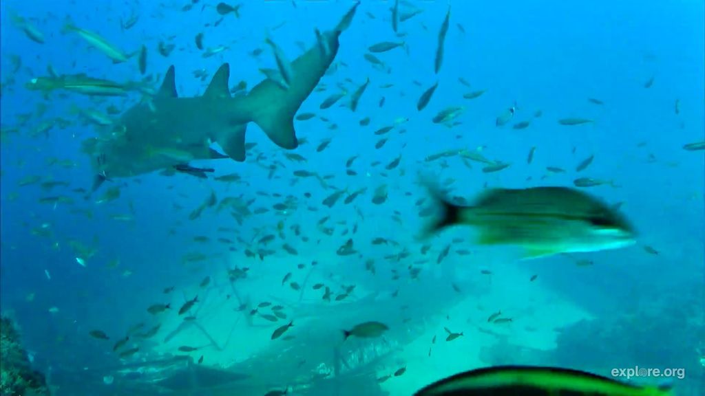 f1cd735c-5187-4569-94ff-af77b9b8f3b9