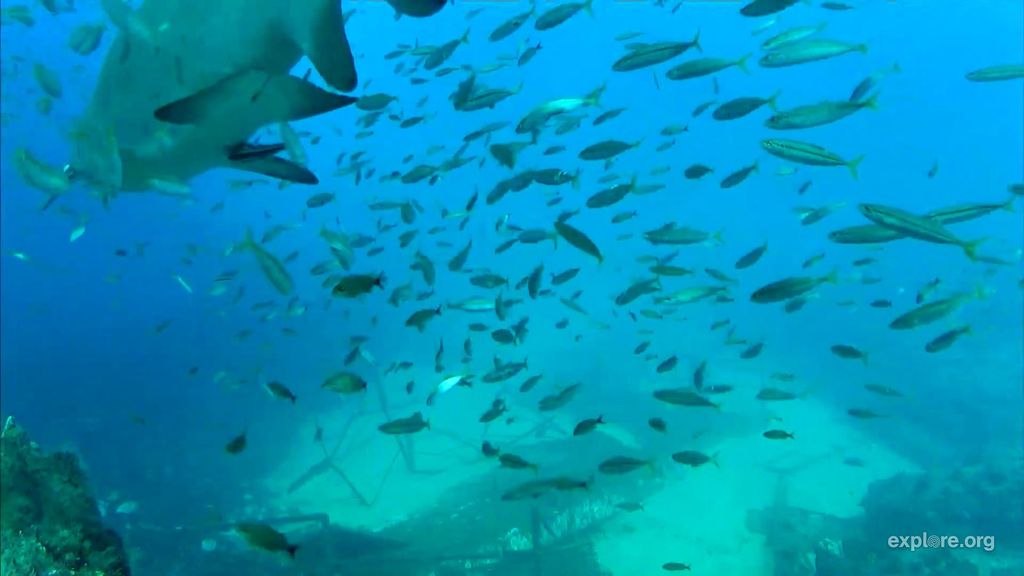 f1cd735c-5187-4569-94ff-af77b9b8f3b9