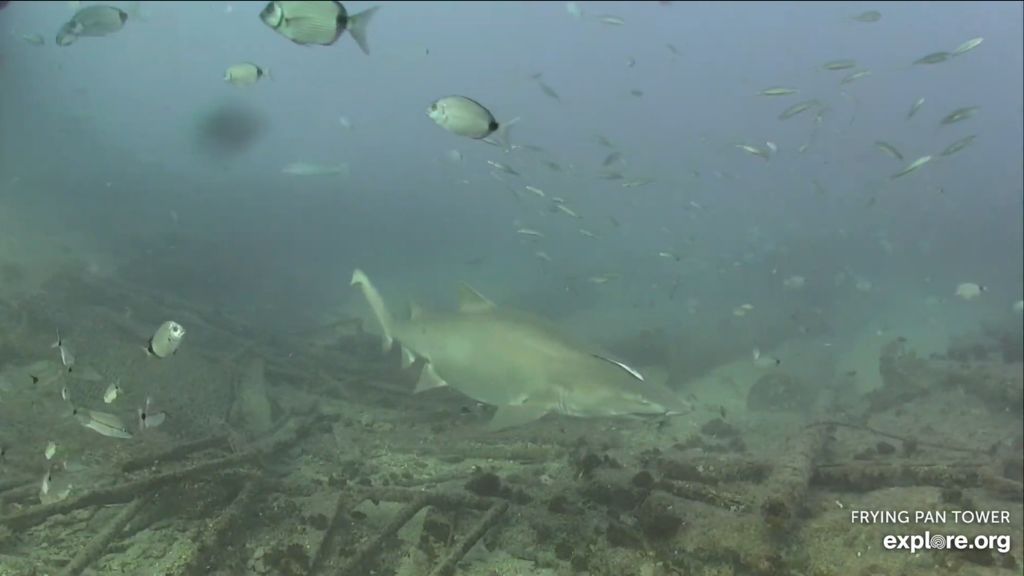 50ae3e9c-39e4-49dc-9be7-a85167a6ebef