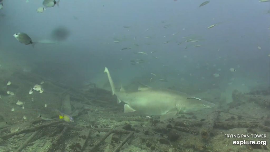 50ae3e9c-39e4-49dc-9be7-a85167a6ebef