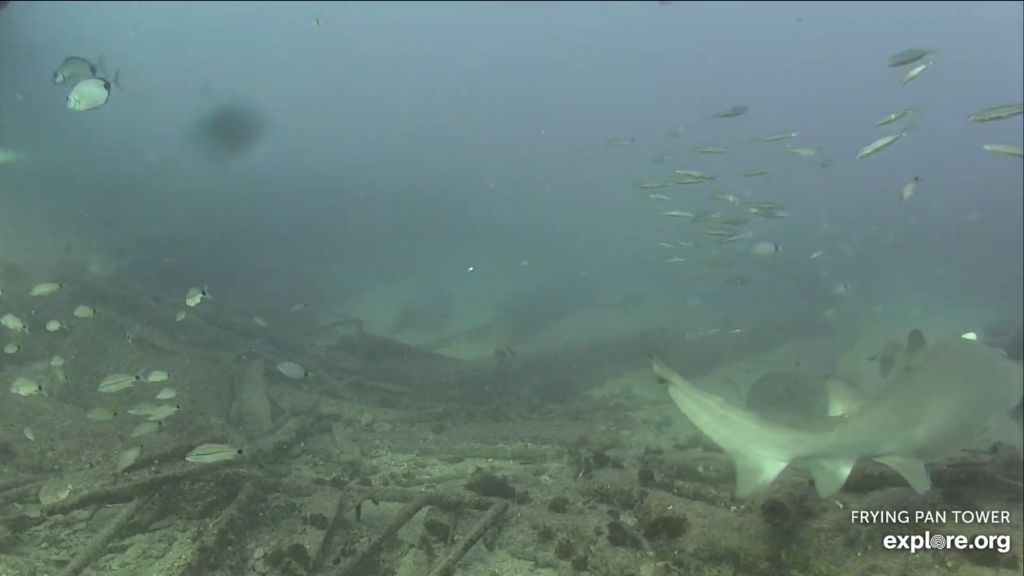 50ae3e9c-39e4-49dc-9be7-a85167a6ebef