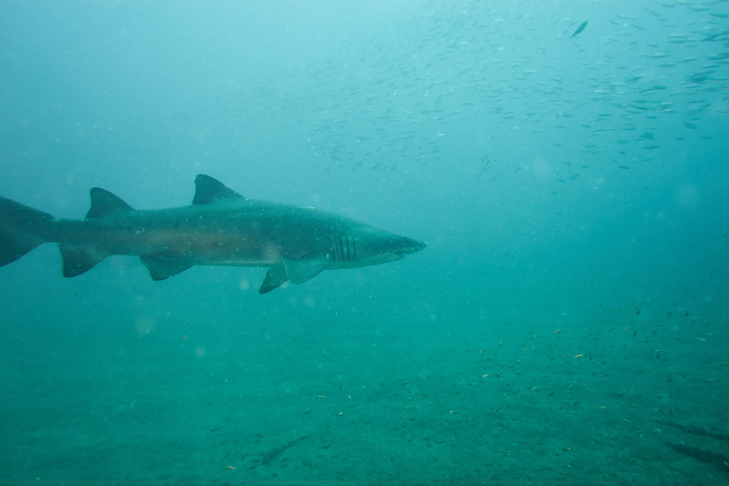 d3f6da2c-6dc6-4dea-a156-0b5329e1c47c