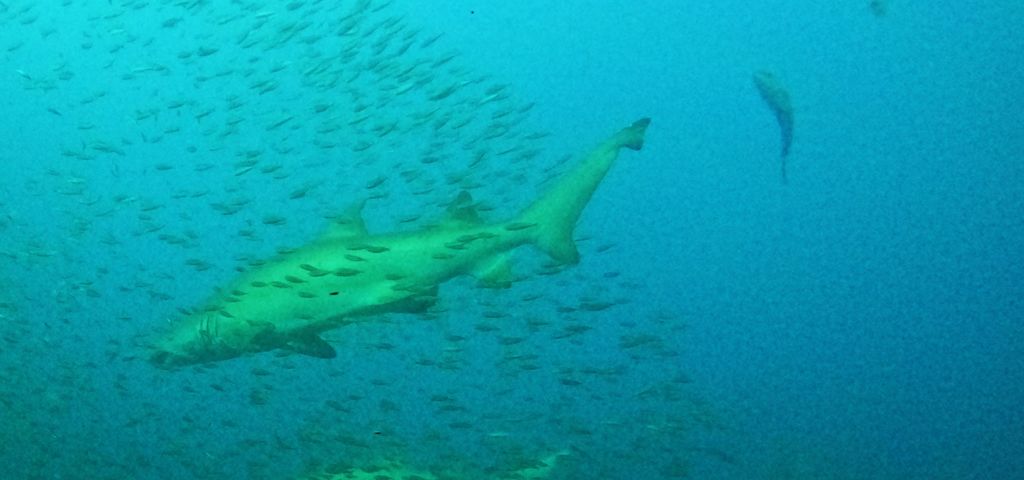 d3da49e8-cf93-4448-b4ad-78e323bd0c3b