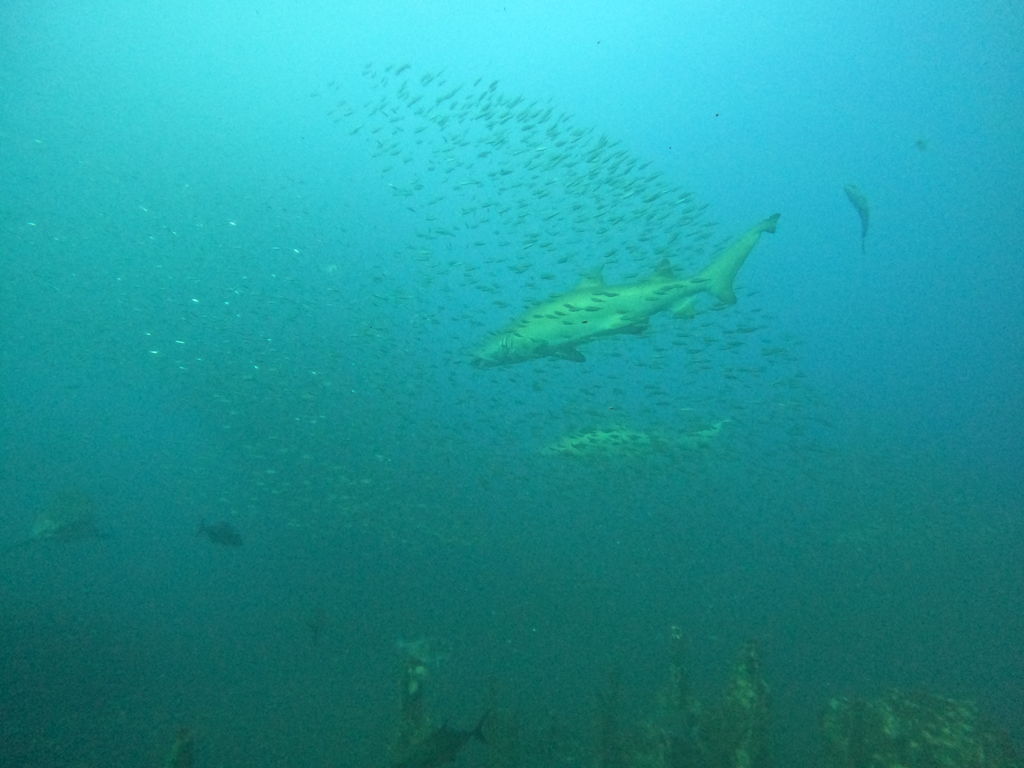 d3da49e8-cf93-4448-b4ad-78e323bd0c3b