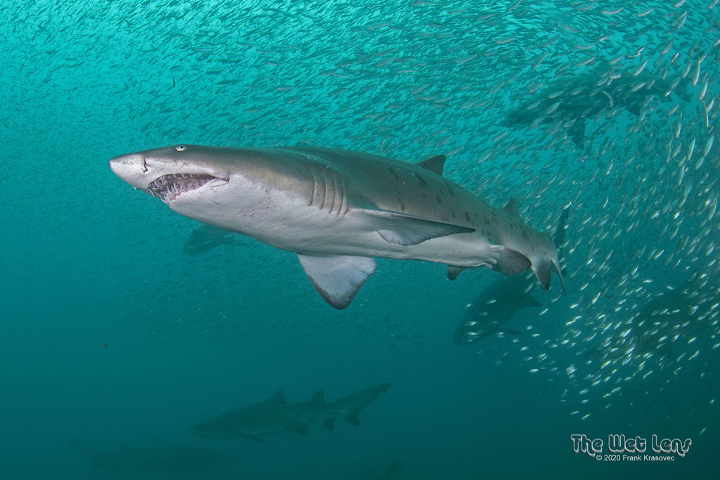 d649cb53-1841-4020-9d45-e5b08867b8ff