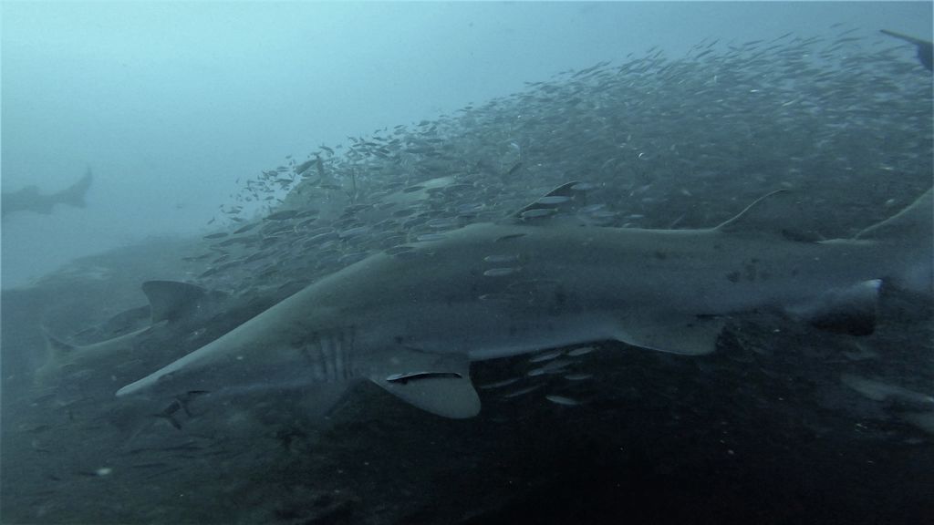 c61c24ac-f08f-4087-bba2-ed637080b648