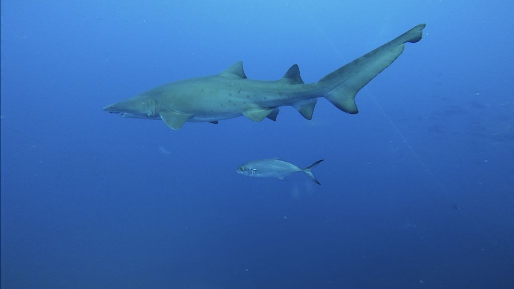 b147e80f-555a-48c0-a9d0-6ab2325fe0f8