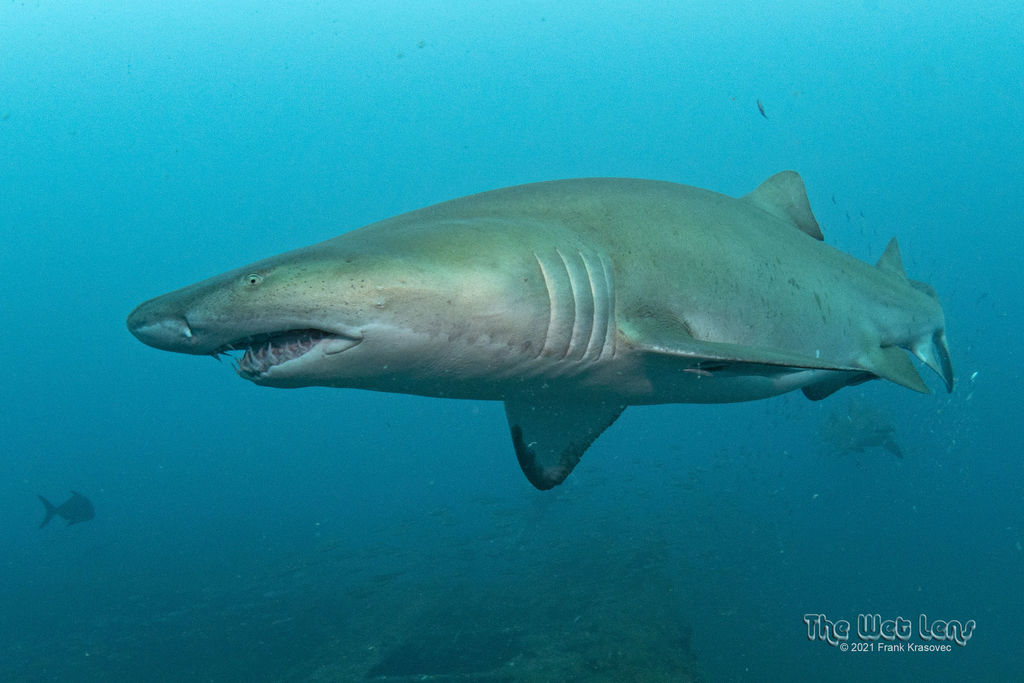 58468994-f483-42a9-b9c8-16cff48e26e8