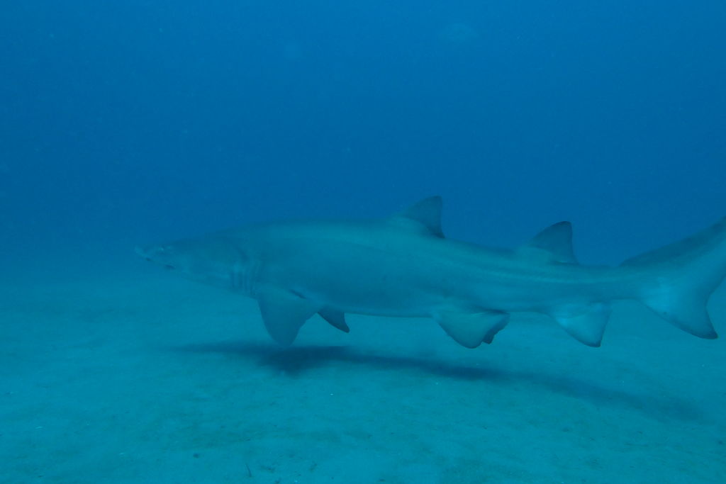 00f63c95-ee2a-48ce-9dcb-cdf3d3e709c0