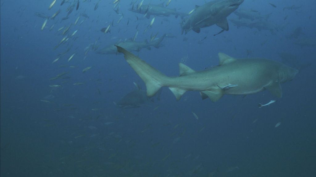 fb9e9dc5-c90b-43e8-bc45-7416bafe6aea