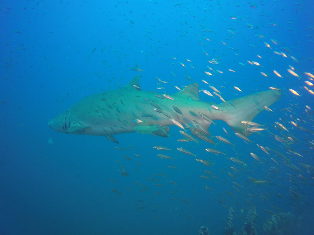 17fe0c3c-fdb9-4e4d-a64c-c50e958d8f24