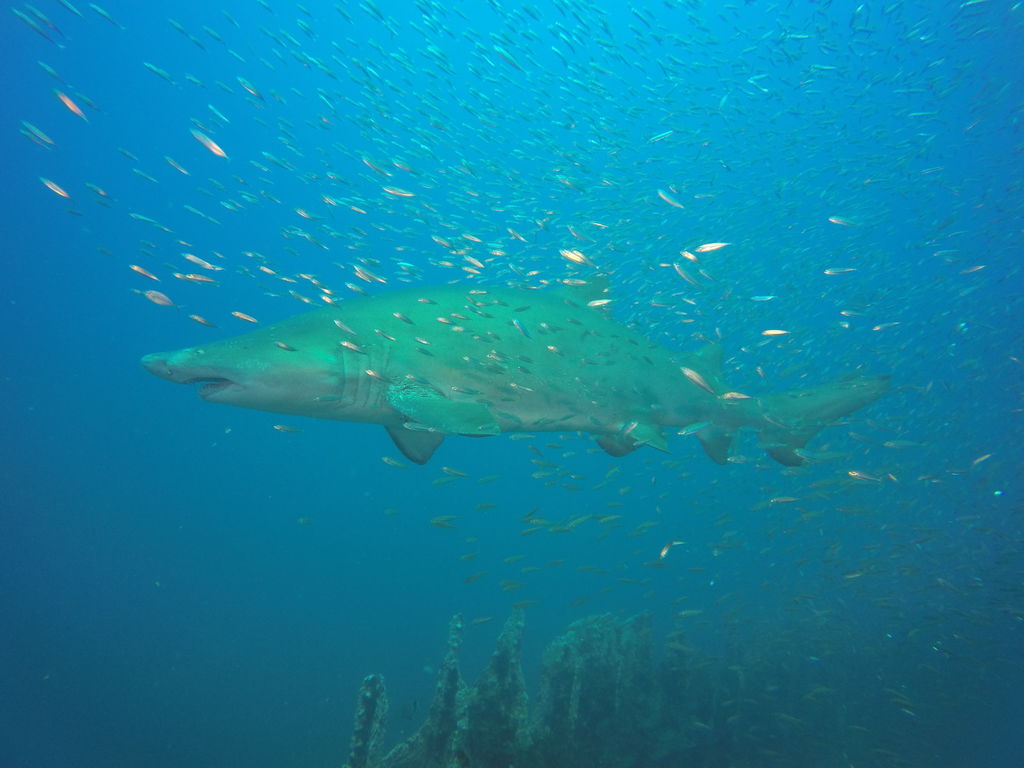 17fe0c3c-fdb9-4e4d-a64c-c50e958d8f24