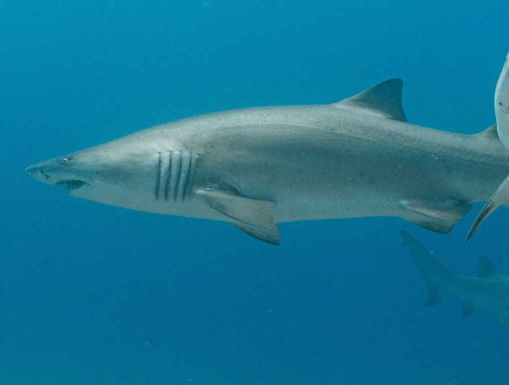 03acfccf-3aeb-4acd-a02e-ce983b22a413