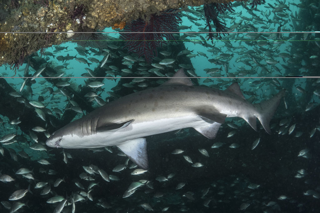 edc958fc-1c54-43d1-9036-31ad2ca21915