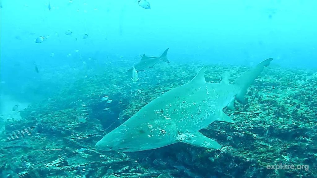 bbb382d5-169f-47a7-a6b7-7e16dbc4b2e8