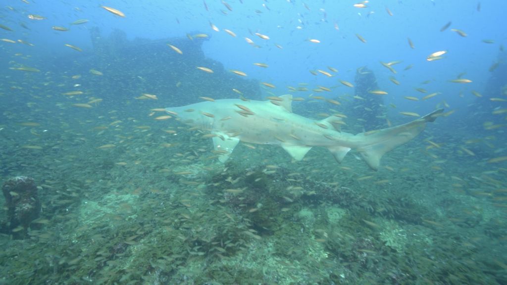 7894d6e6-cef0-424a-97d6-2168db43f215