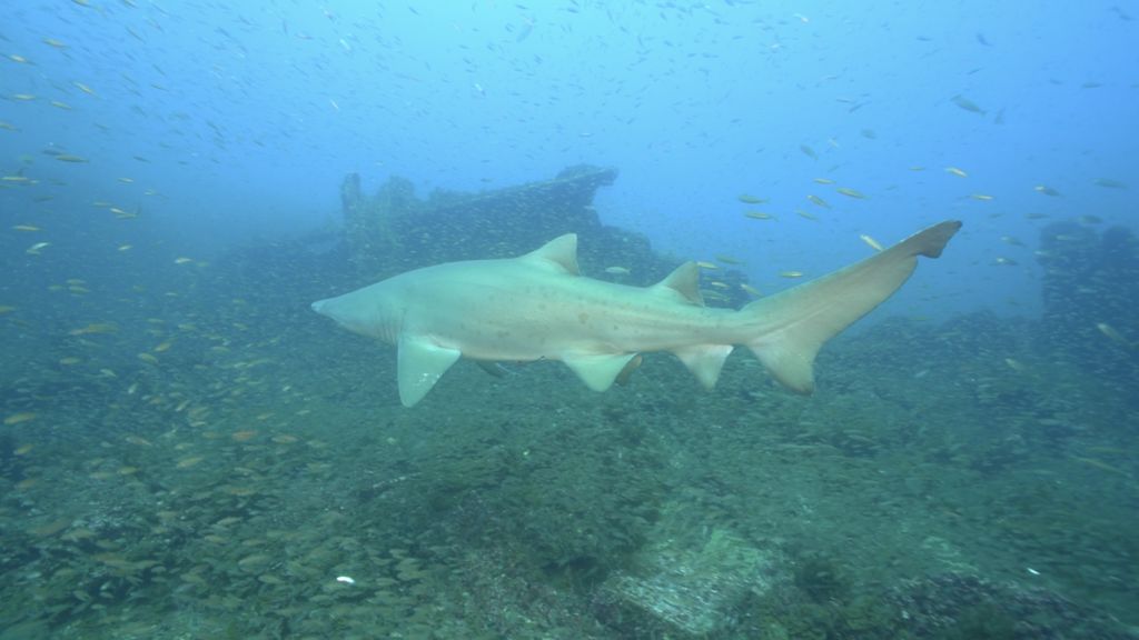 7894d6e6-cef0-424a-97d6-2168db43f215