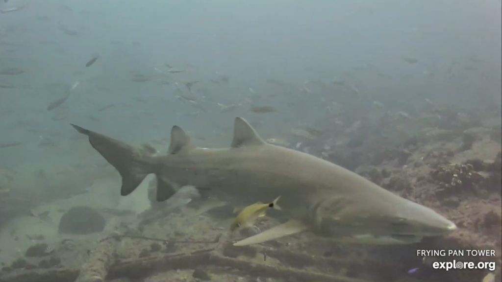 3870fa0a-4819-4eff-8bd9-e082111d7288