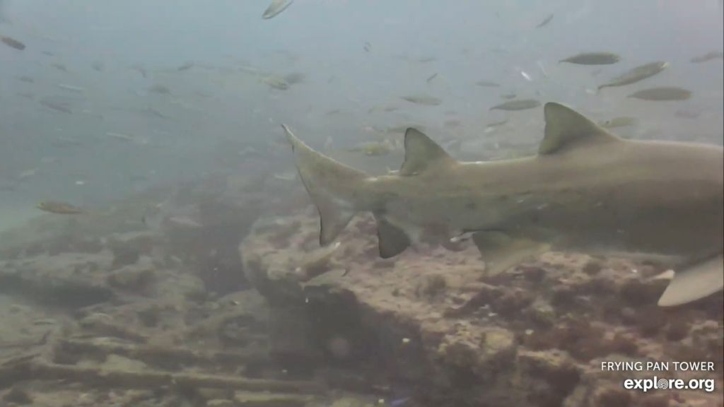 3870fa0a-4819-4eff-8bd9-e082111d7288