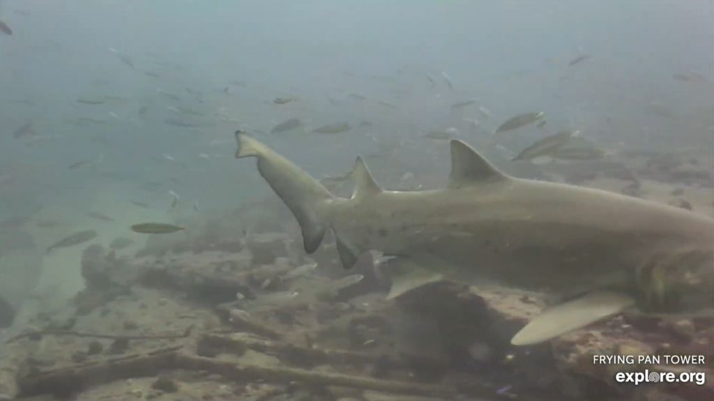 3870fa0a-4819-4eff-8bd9-e082111d7288